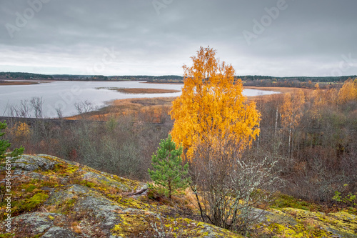 view of  Karelia from the height of  Mount Paaso near the town of Sortavala in golden autumn time photo