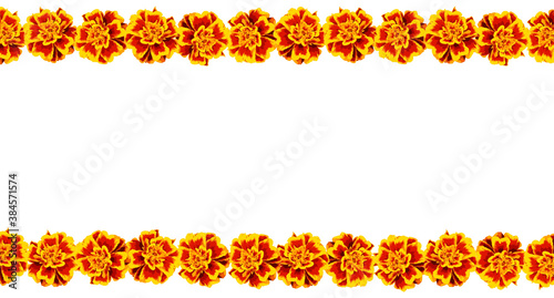 Marigold flower garland. Day of the dead. Halloween. Indian garland of flowers. Religion festive holiday decoration. Vector illustration isolated on white