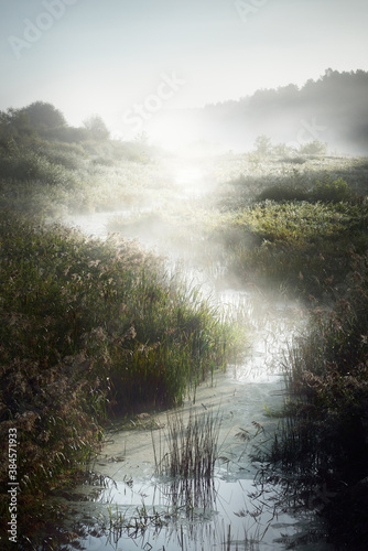 Fotobehang Picturesque scenery of a small river (bog) near the forest at sunrise