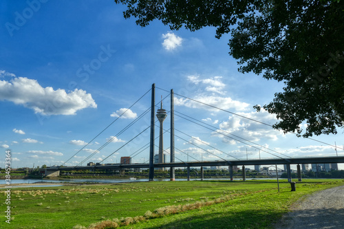 Rheinwiesen mit Brücke und Skyline in Düsseldorf © hespasoft
