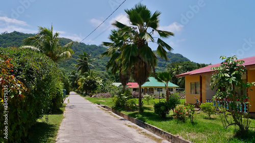 Street with palm trees and holiday homes (tourist accommodations) in village on La Digue island, Seychelles.