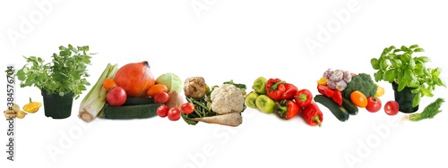 various multicolor vegetables for cooking meals