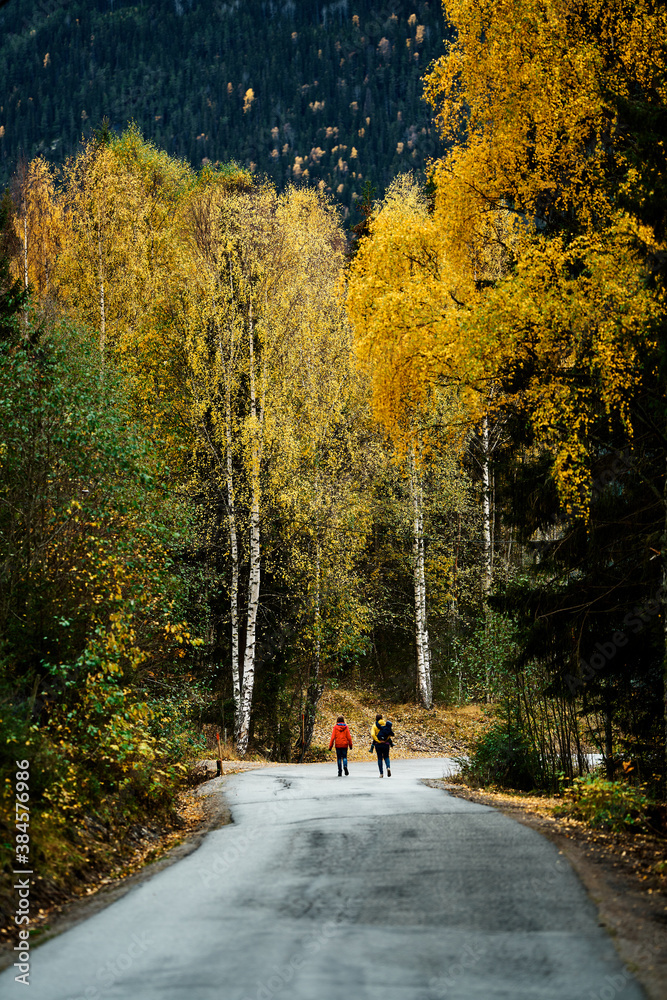 Obraz premium A family walks on a raod in the autumn forest. Vivid colors in nature. Shot in Hallingdal, Gol, Norway.