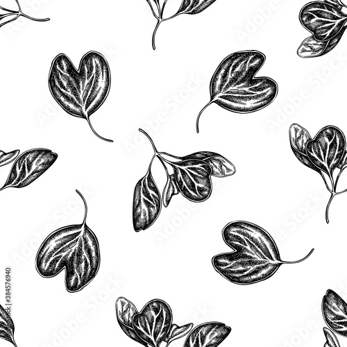 Seamless pattern with black and white iresine