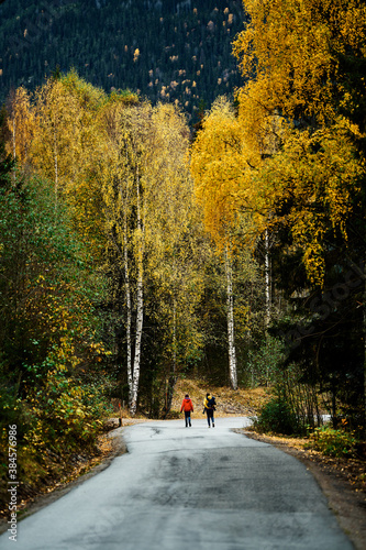 A family walks on a raod in the autumn forest. Vivid colors in nature. Shot in Hallingdal, Gol, Norway.