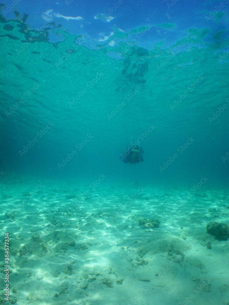 Snorkel in the paradise , Caribbean sea Curacao Snorkel in the paradise , Caribbean sea Curacao