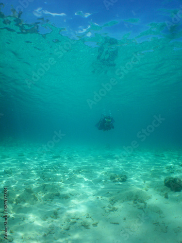 Snorkel in the paradise , Caribbean sea Curacao