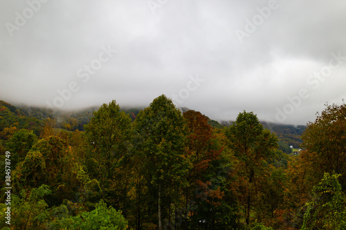 Colorful, autumn trees on the foreground with fog from the mountain behind them as a background
