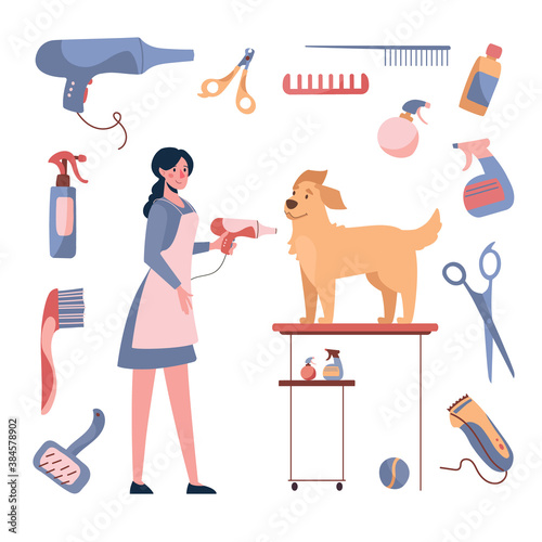 The woman dries the dog with a hairdryer. Dog grooming. Vector illustration isolated on white background. Cartoon style. Around care products, shampoos, nippers, combs, scissors, hair clipper.