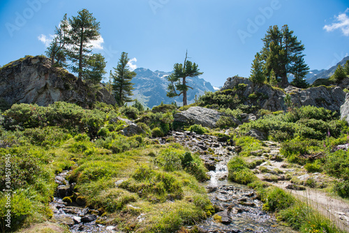 Japanischer Garten ( Jardin japonais ) bei Siviez  / Haute-Nendaz / 4-Vallées / Wallis / Schweiz photo