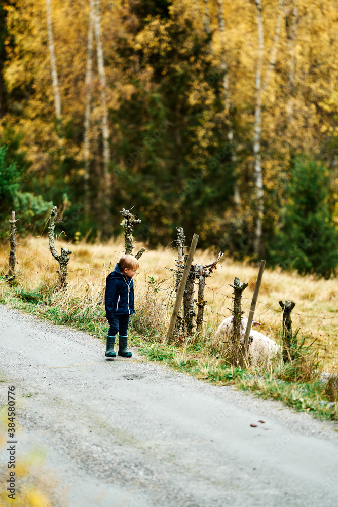 A toddler alone in the forest. Wearing a hood in the cold autumn forest. 
