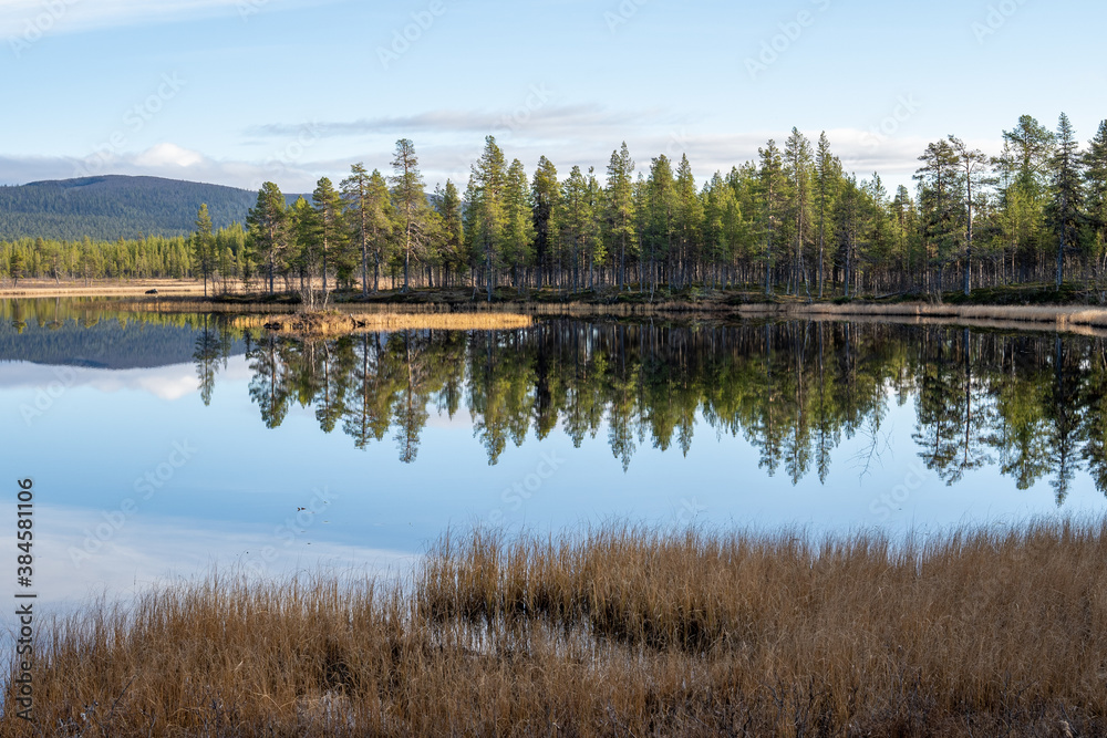 Wald Natur See in Schweden mit Spiegelung im Wasser