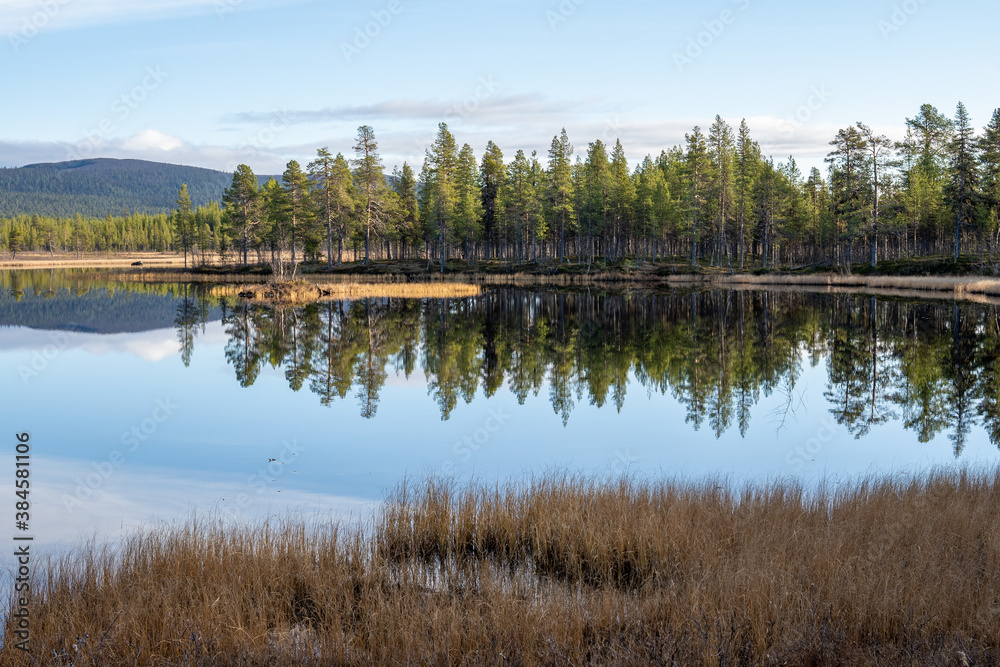 Wald Natur See in Schweden mit Spiegelung im Wasser Wald Natur See in Schweden mit Spiegelung im Wasser
