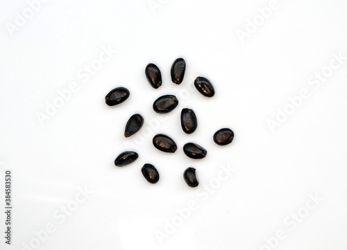Indigenous plant seeds on white background for cultivation in agriculture.