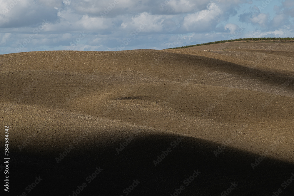 Fototapeta premium colline in val d'orcia toscana