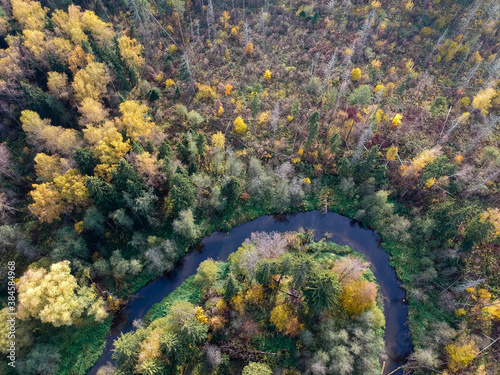 Aerial drone view of autumn forest and small river