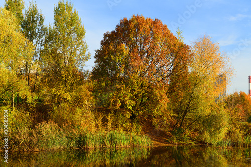 Autumn landscape. Lake in Mitino picturesque Landscape Park. Moscow, Russia