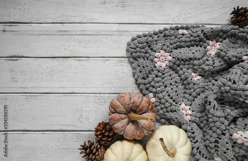 Kogigu (japanese butternut squash) and Baby Boo pumpkins, with cones and warm, cosy handmade blanket. Beautiful autumn flat lay composition, with copyspace on white wooden background. photo