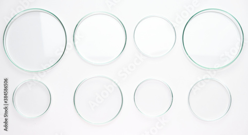 Different size Petri dishes for biochemical analysis in the white background.