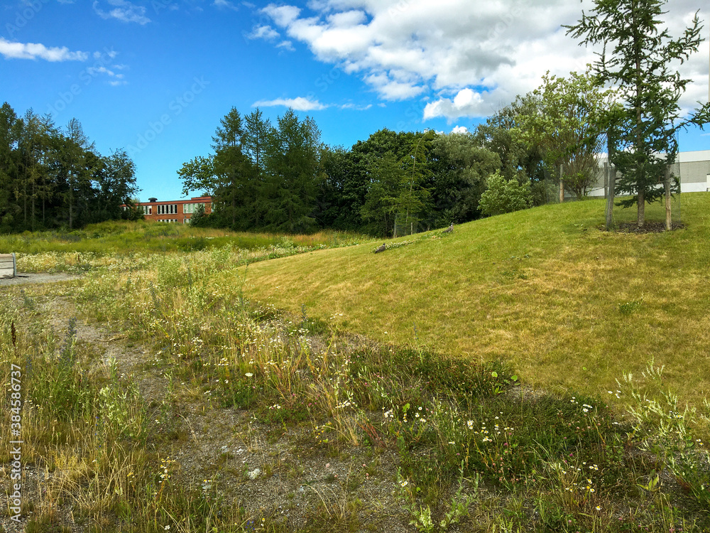 A small hill or mountain at the Swedish countryside. Very green and relaxing nature. Great view a sunny day. Järfälla, Stockholm, Sweden. 
