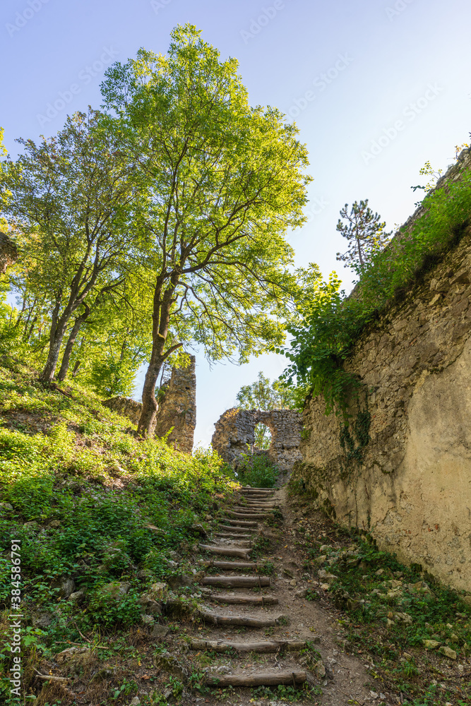 Dobra Voda castle ruins in the forest, Slovakia Dobra Voda castle ruins in the forest, Slovakia
