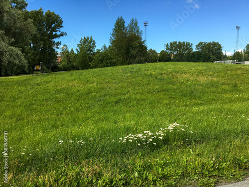 A small hill or mountain at the Swedish countryside. Very green and relaxing nature. Great view a sunny day. J  rf  lla  Stockholm  Sweden. 