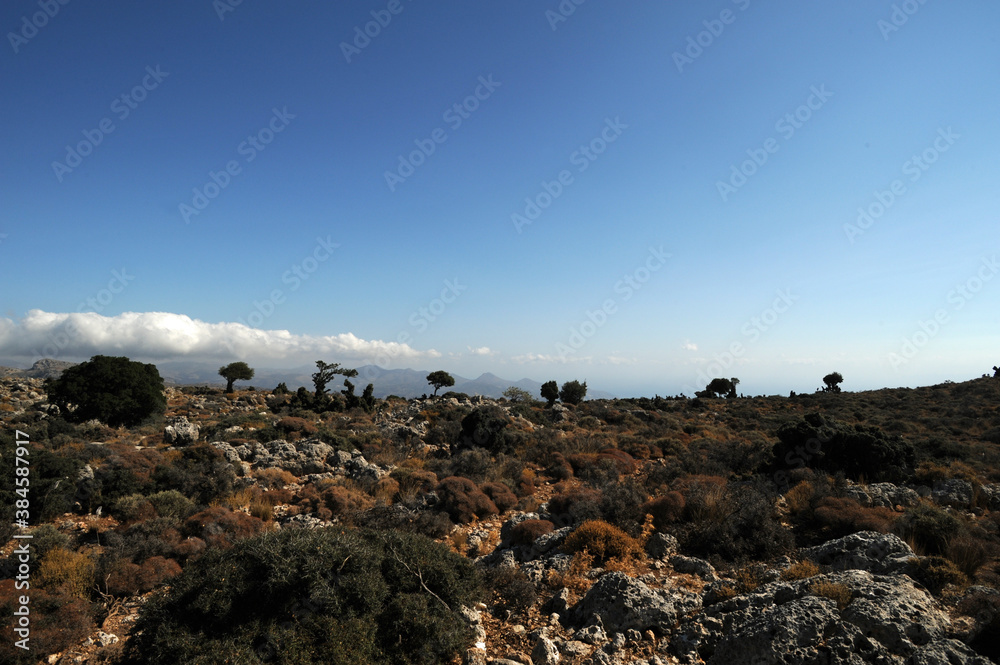 Garrigue sur la route de Kritsa au plateau de Katharo en Crète