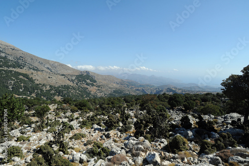 Garrigue sur la route de Kritsa au plateau de Katharo en Crète © arvernho