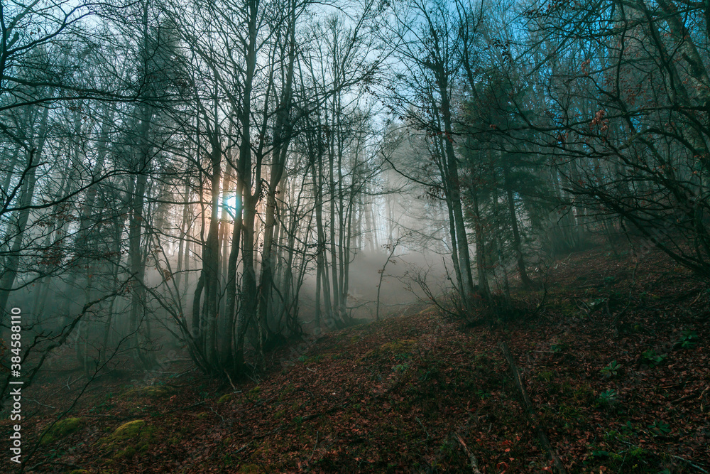 Naklejka premium Cloudy autumn day in the italian alps