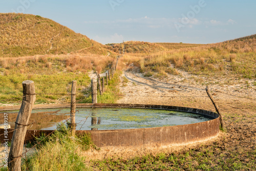 cattle drinking hole in a prairie of Nebraska Sandhills - fall morning scenery at Nebraska National Forest