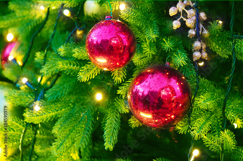 New Year greeting card concept. New year holiday or christmas green background. Branches of christmas trees decorated with red and golden decorations and lights, garlands and toys