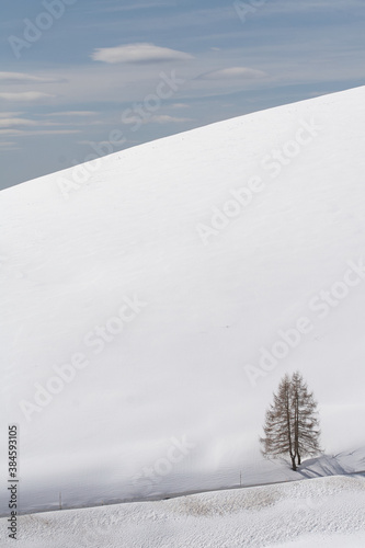 Landscape with snow and tree © Nick