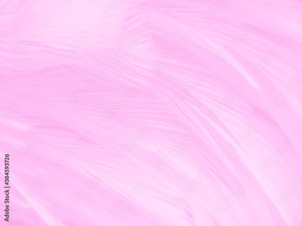 Beautiful abstract gray and pink feathers on white background, white feather frame texture on pink pattern and pink background, love theme and valentines day Beautiful abstract gray and pink feathers on white background, white feather frame texture on pink pattern and pink background, love theme and valentines day