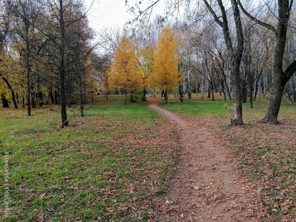 autumn in the park autumn in the park