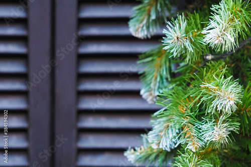 Shutters on the window. Christmas window. Garland of green fir branches and cones, luminous xmas garland, frame