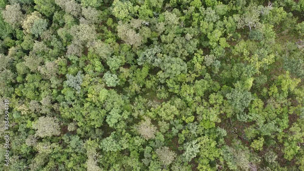 Top view aerial view Samoeng forest chiang mai Top view aerial view Samoeng forest chiang mai