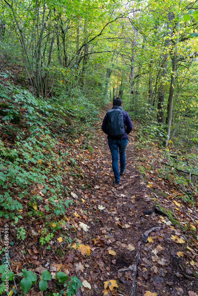 Das Donautal im Herbst Das Donautal im Herbst