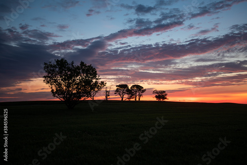 Fototapeta Naklejka Na Ścianę i Meble -  A colorful sunrise with trees silhouetted in the background.