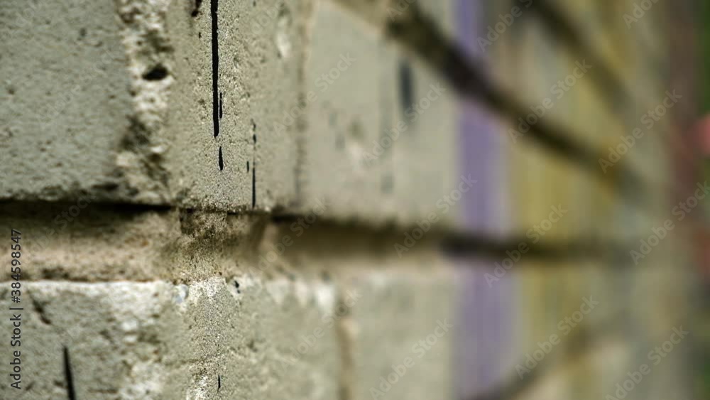Close-up of Collapsing Brick Wall. Cracked Brick. Paint streaks. Old building. An Ant Crawls On Brickwork. Insect. Destruction of Urban Environment. Abstract Plan. Defocus. White Brickwork. Metaphor Close-up of Collapsing Brick Wall. Cracked Brick. Paint streaks. Old building. An Ant Crawls On Brickwork. Insect. Destruction of Urban Environment. Abstract Plan. Defocus. White Brickwork. Metaphor