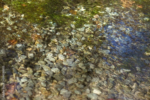 clear spring water with stone coast and seaweed