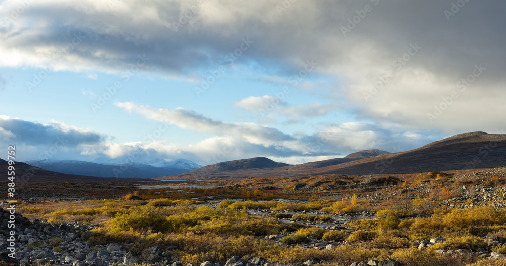 Autumn sunset in mountainous rural area. Trees in golden foliage on the meadow in weathered grass. Sky with clouds in sunset light. Lapland. Autumn sunset in mountainous rural area. Trees in golden foliage on the meadow in weathered grass. Sky with clouds in sunset light. Lapland.