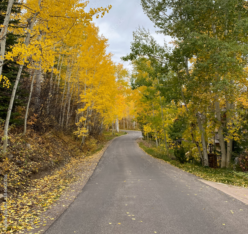 A countryside path covered by fall foliage