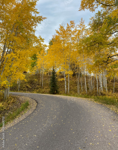 A countryside path covered by fall foliage