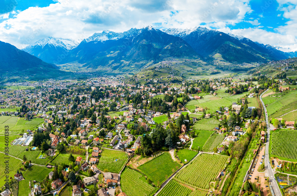 South Tyrol vineyards aerial view