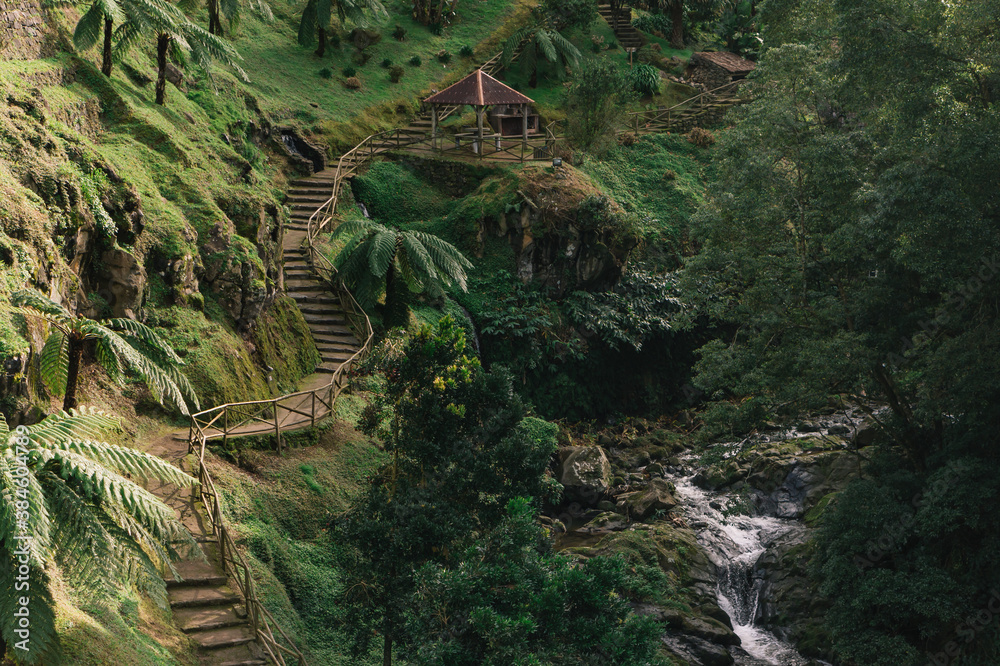 Fototapeta premium Stone steps through tropical forest, Azores Islands, Portugal