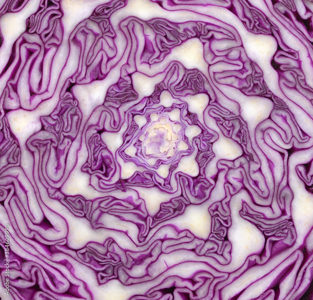 Obraz premium Red cabbage section on background