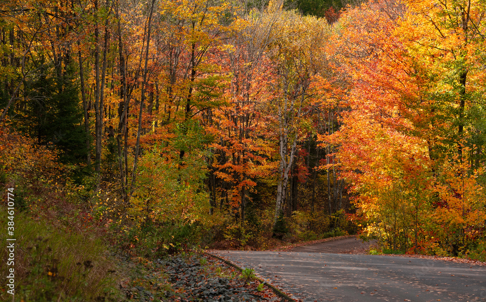 Colorful autumn trees in Michigan upper peninsula countryside