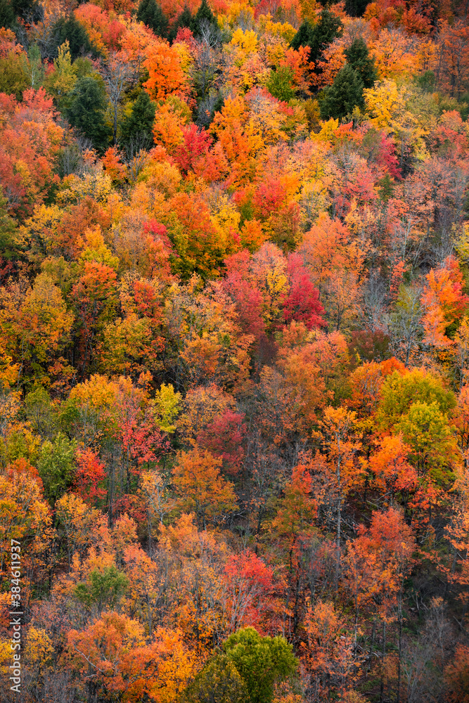 Aerial view of colorful autumn trees from Copper peak in Michigan upper peninsula Aerial view of colorful autumn trees from Copper peak in Michigan upper peninsula