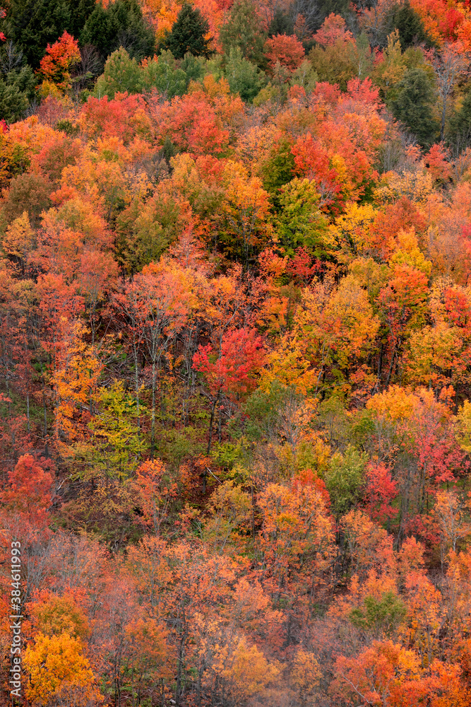 Aerial view of colorful autumn trees from Copper peak in Michigan upper peninsula Aerial view of colorful autumn trees from Copper peak in Michigan upper peninsula