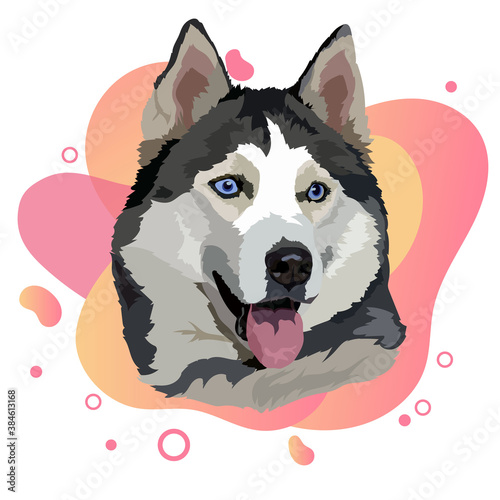 Portrait Husky dog. Vector illustration